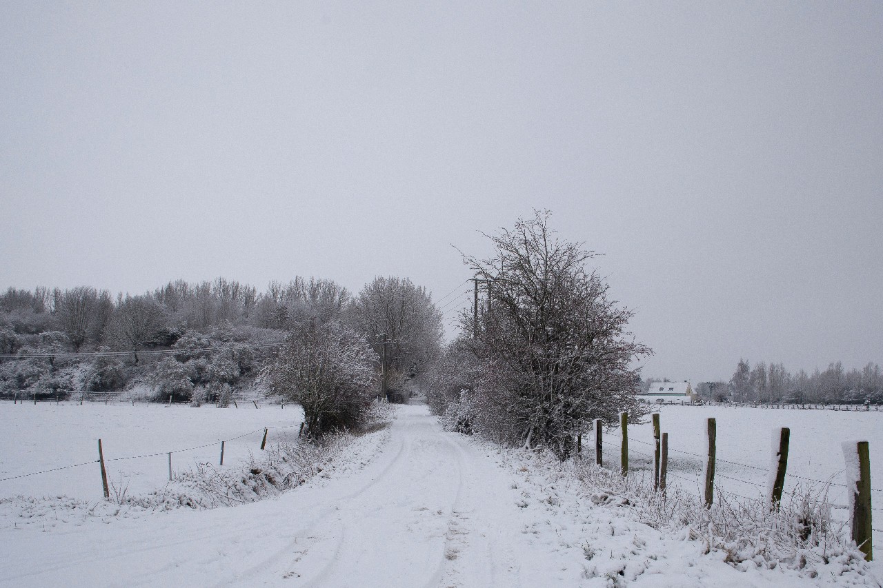 Baisieux sous la neige 