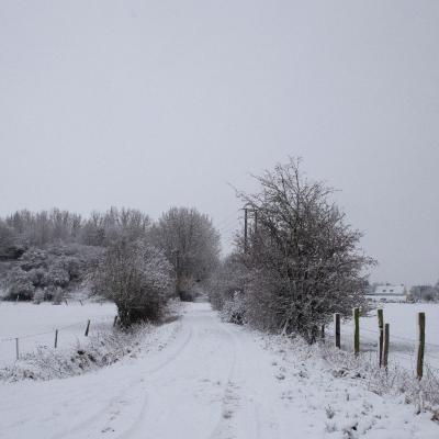 Baisieux sous la neige 