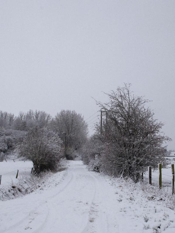 Baisieux sous la neige 