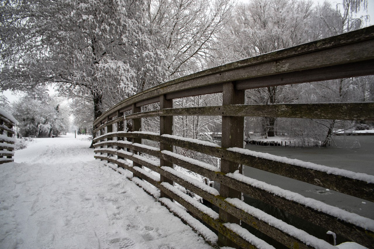 Parc des 6 Bonniers - Willems (59)