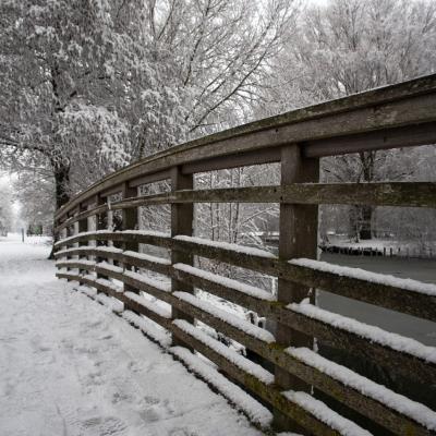 Parc des 6 Bonniers - Willems (59)