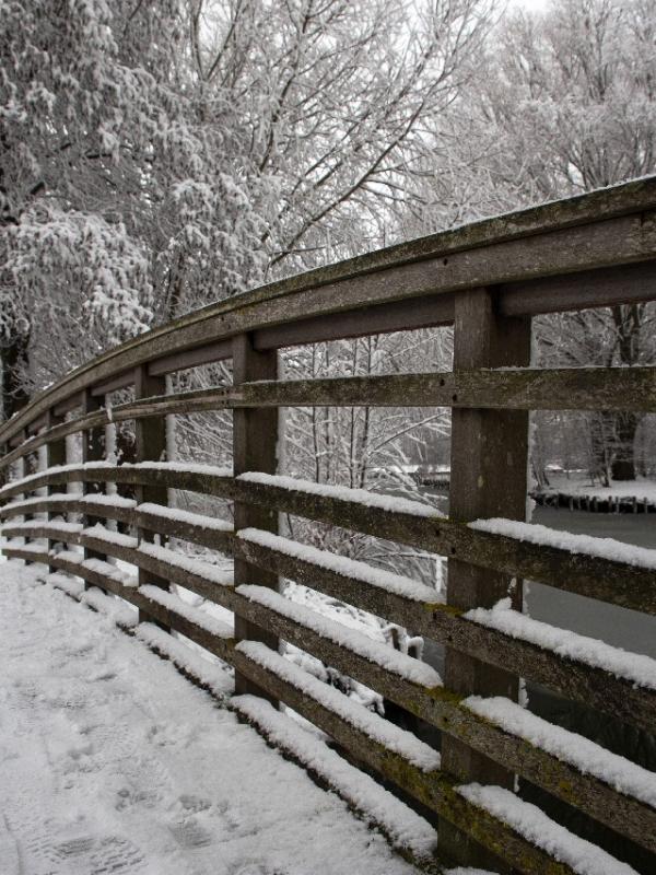 Parc des 6 Bonniers - Willems (59)