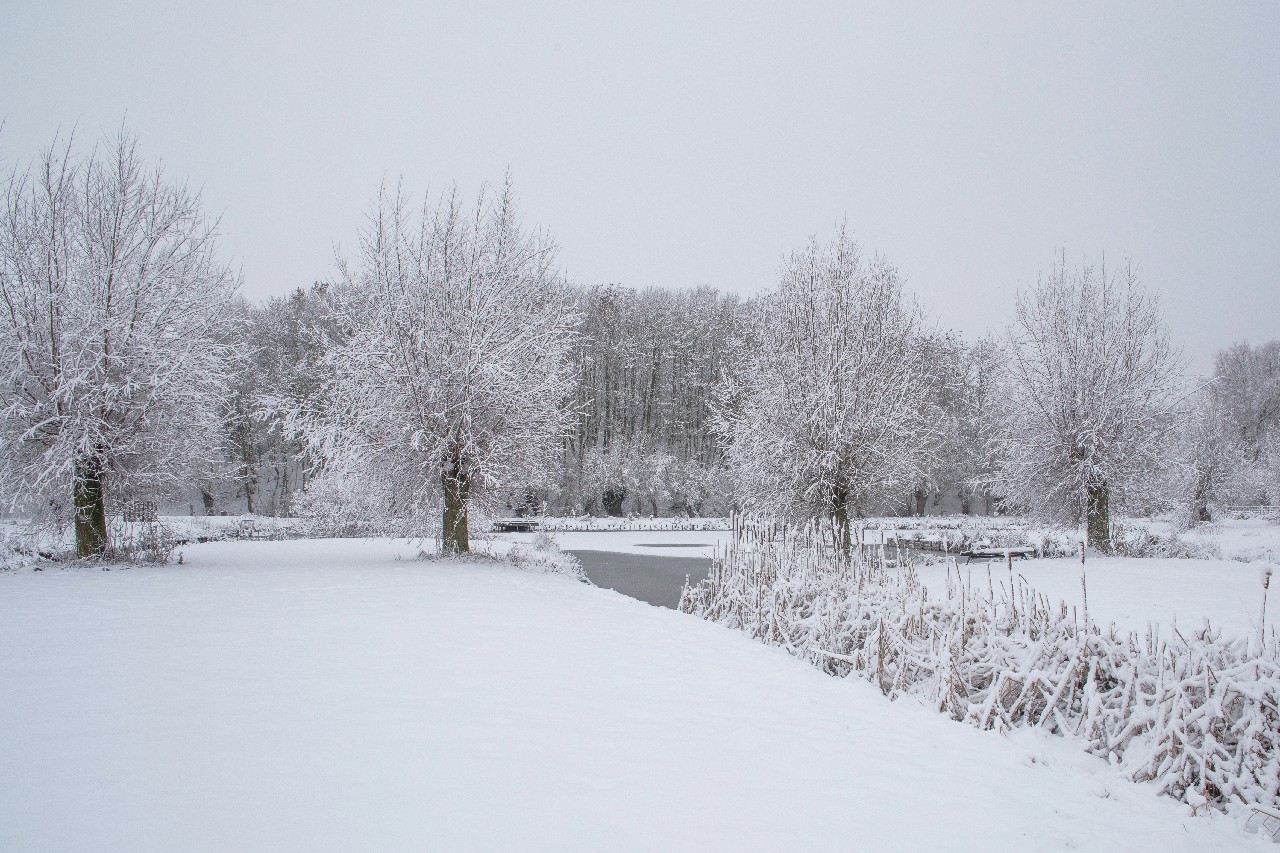 Parc des 6 Bonniers - Willems (59)