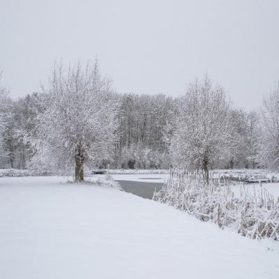 Parc des 6 Bonniers - Willems (59)