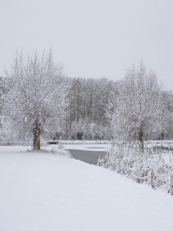 Parc des 6 Bonniers - Willems (59)