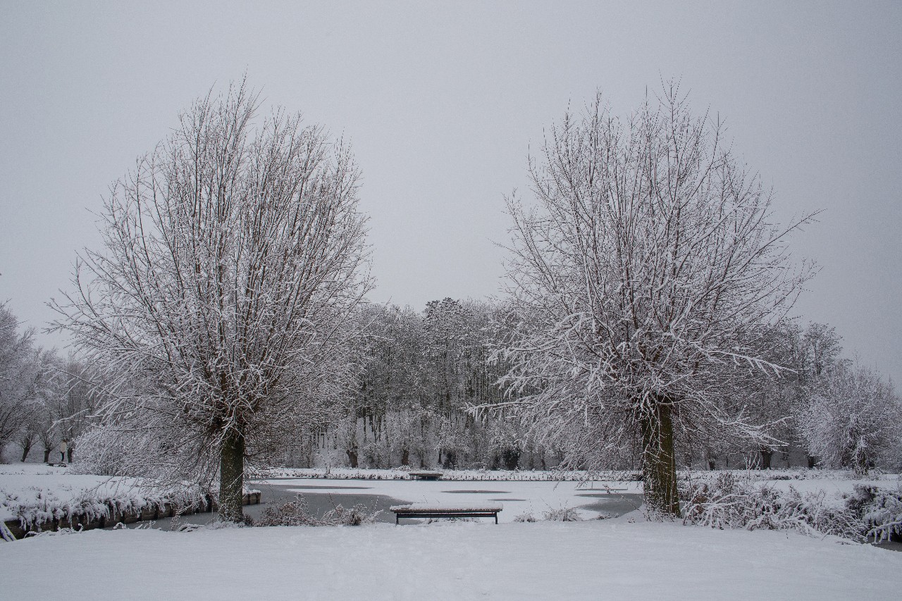 Parc des 6 Bonniers - Willems (59)