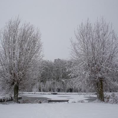 Parc des 6 Bonniers - Willems (59)