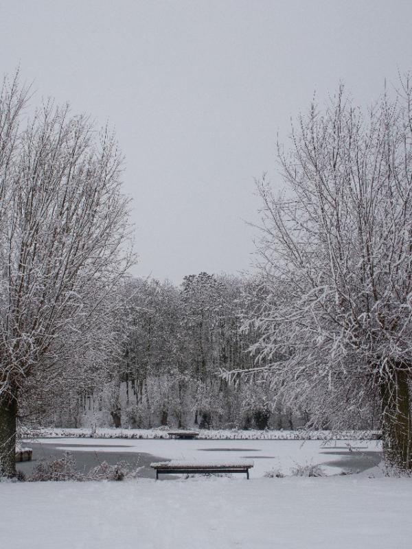 Parc des 6 Bonniers - Willems (59)