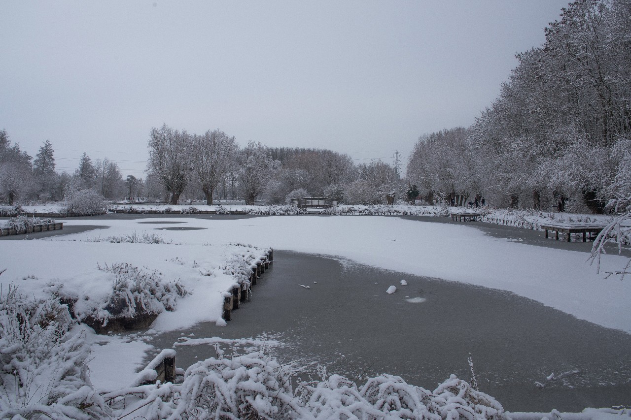 Parc des 6 Bonniers - Willems (59)