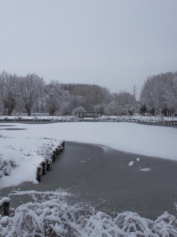 Parc des 6 Bonniers - Willems (59)
