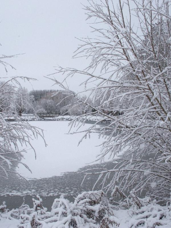 Parc des 6 Bonniers - Willems (59)