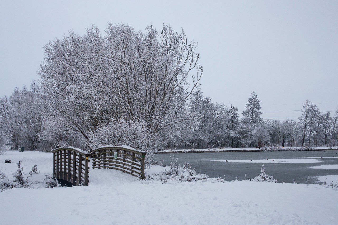 Parc des 6 Bonniers - Willems (59)