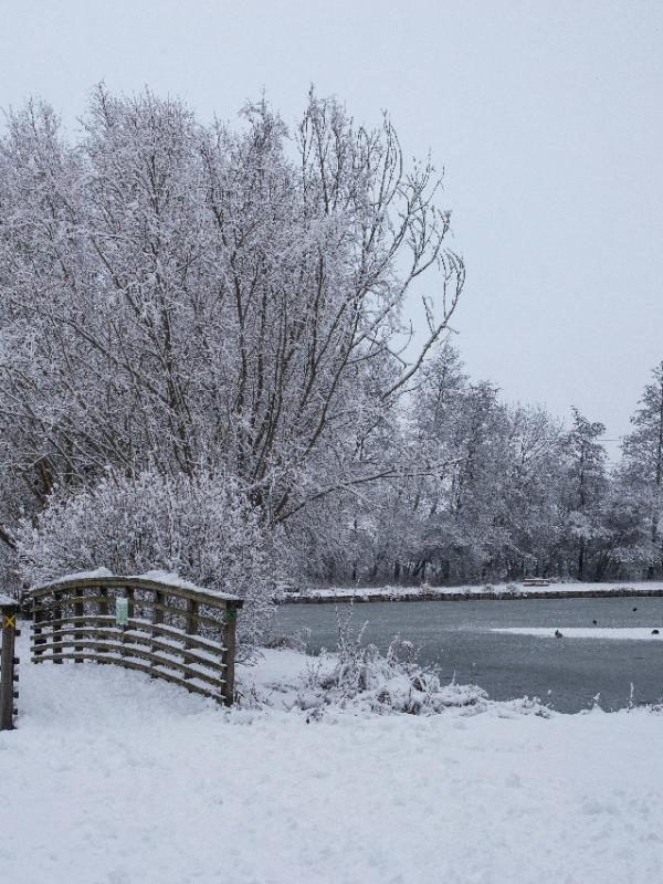Parc des 6 Bonniers - Willems (59)