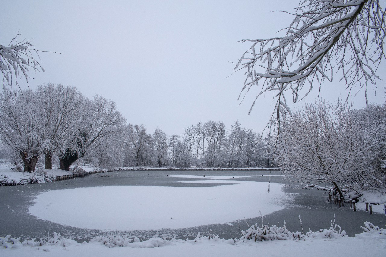 Parc des 6 Bonniers sous la neige