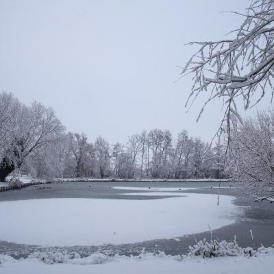 Parc des 6 Bonniers sous la neige