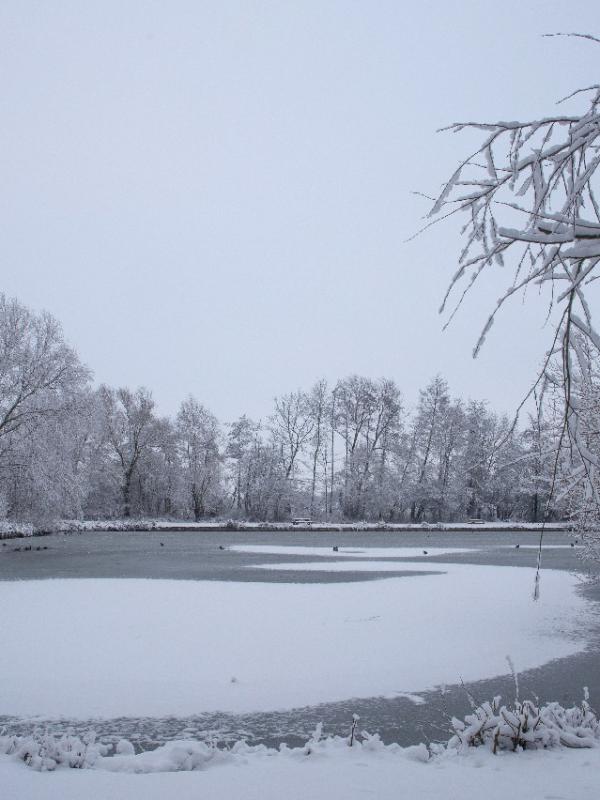 Parc des 6 Bonniers sous la neige