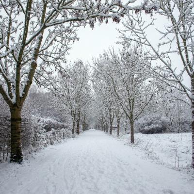 Baisieux sous la neige 