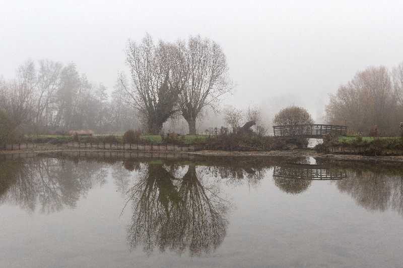 Brouillard - Marc Zommer Photographies