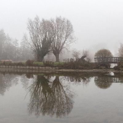 Brouillard - Marc Zommer Photographies