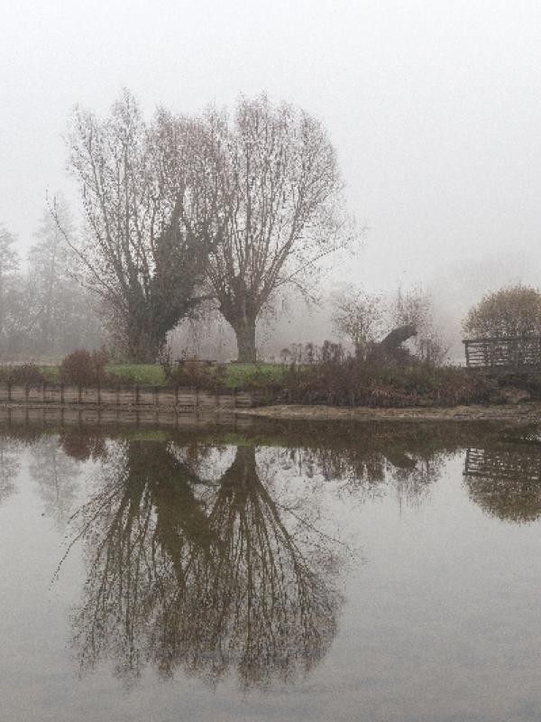 Brouillard - Marc Zommer Photographies
