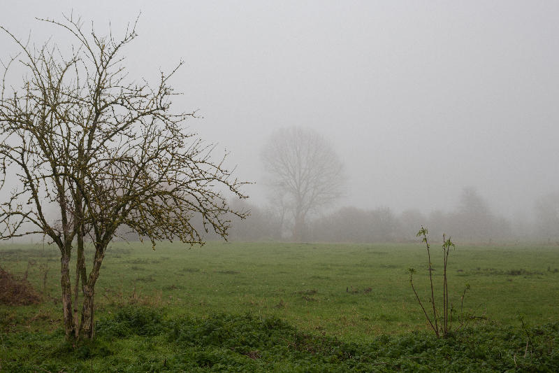 Brouillard - Marc Zommer Photographies