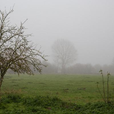 Brouillard - Marc Zommer Photographies