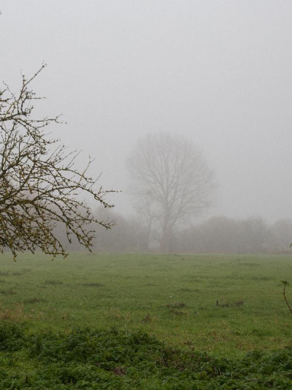Brouillard - Marc Zommer Photographies