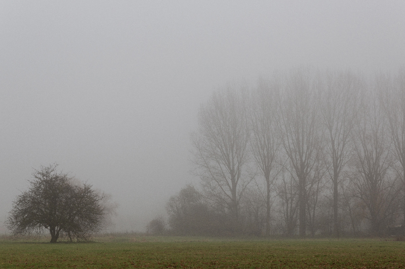 Brouillard - Marc Zommer Photographies