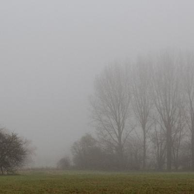 Brouillard - Marc Zommer Photographies