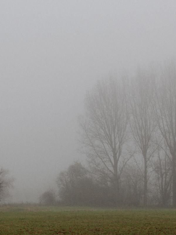 Brouillard - Marc Zommer Photographies