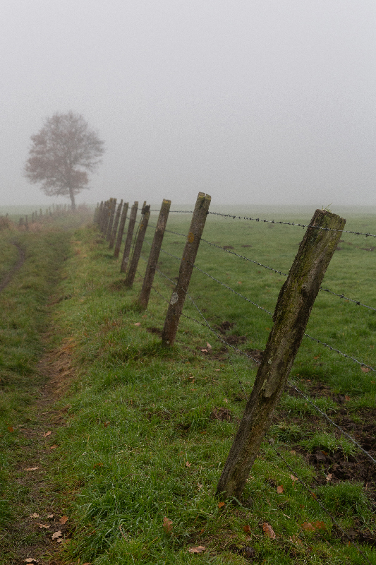 Brouillard - Marc Zommer Photographies