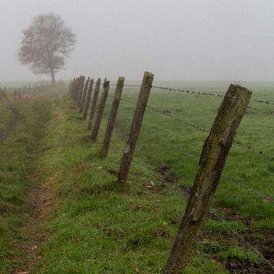 Brouillard - Marc Zommer Photographies