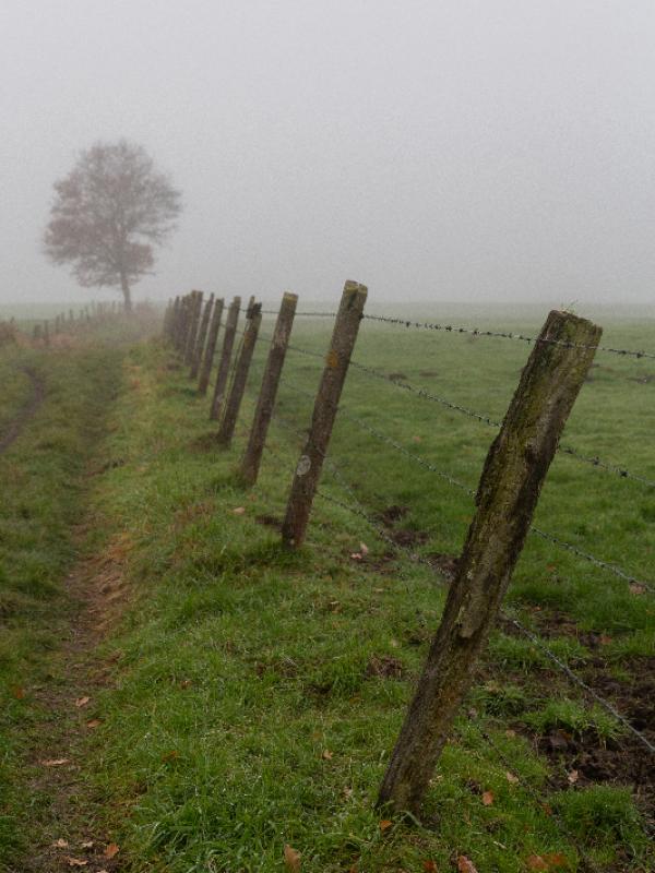 Brouillard - Marc Zommer Photographies