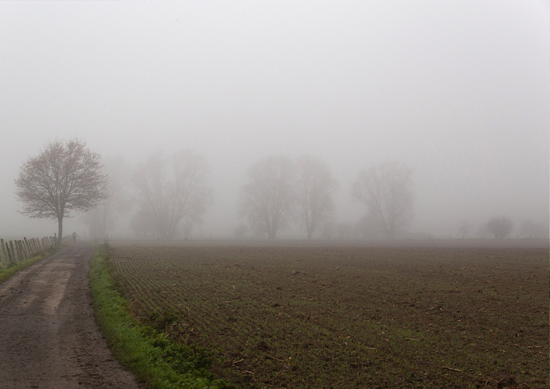 Brouillard - Marc Zommer Photographies 