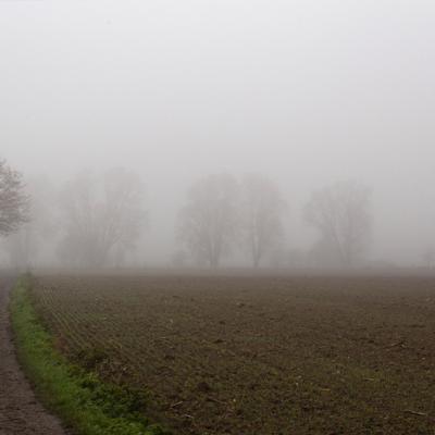 Brouillard - Marc Zommer Photographies 