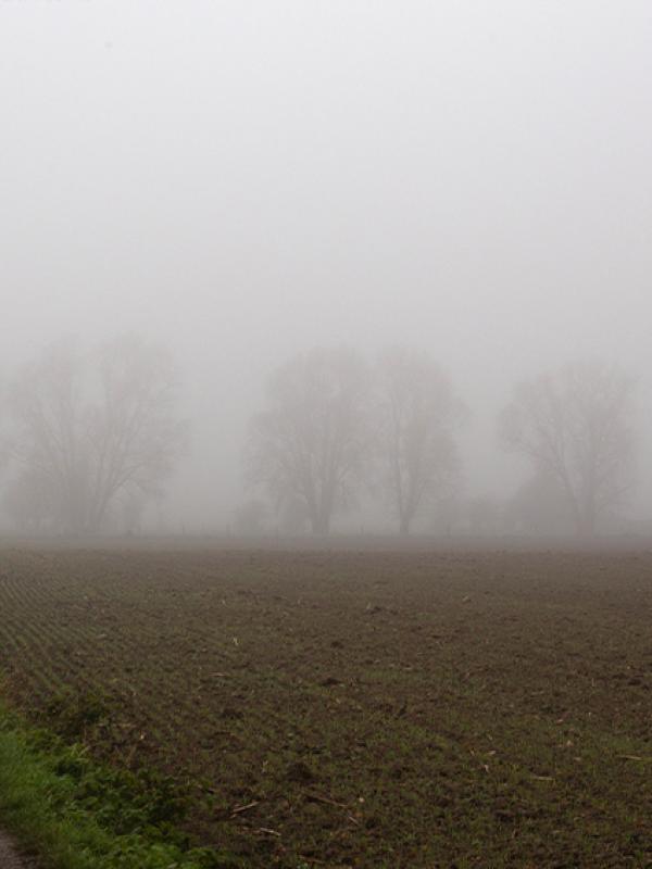 Brouillard - Marc Zommer Photographies 