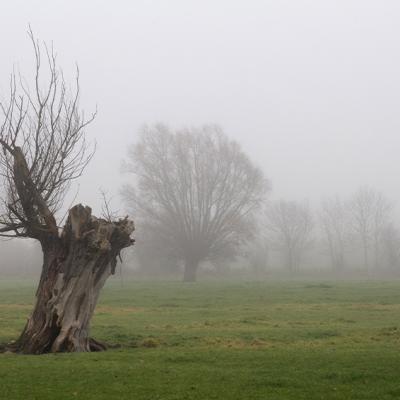 Brouillard - Marc Zommer Photographies 