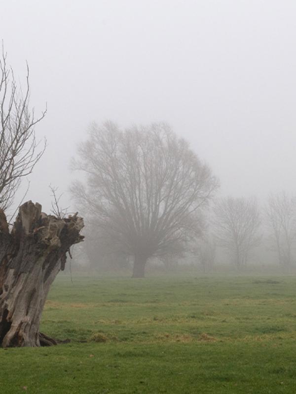 Brouillard - Marc Zommer Photographies 
