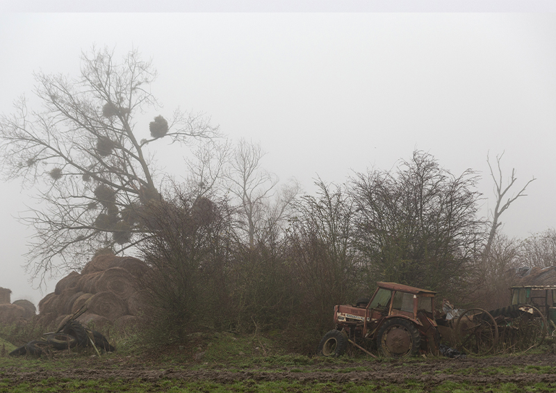 Brouillard - Marc Zommer Photographies 