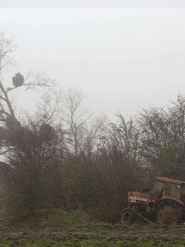 Brouillard - Marc Zommer Photographies 