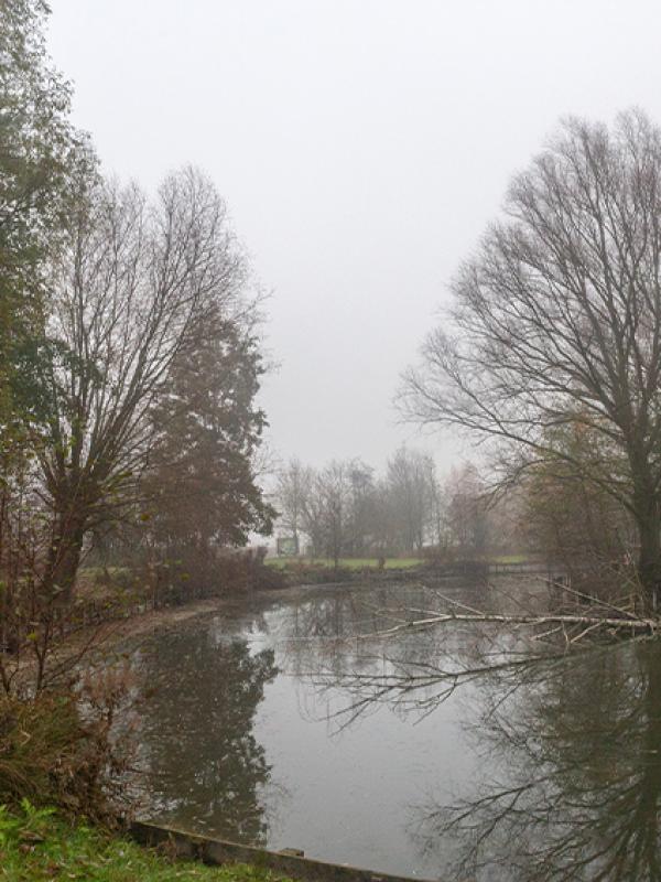 Brouillard - Marc Zommer Photographies 