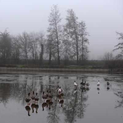 Brouillard - Marc Zommer Photographies 