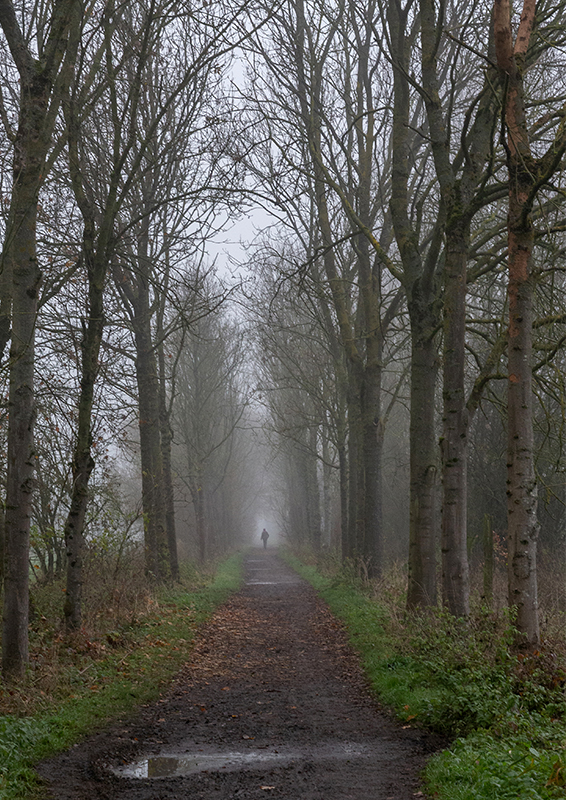 Brouillard - Marc Zommer Photographies 