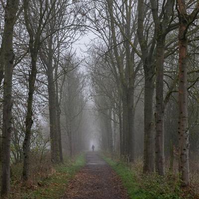 Brouillard - Marc Zommer Photographies 