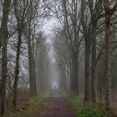 Brouillard - Marc Zommer Photographies 