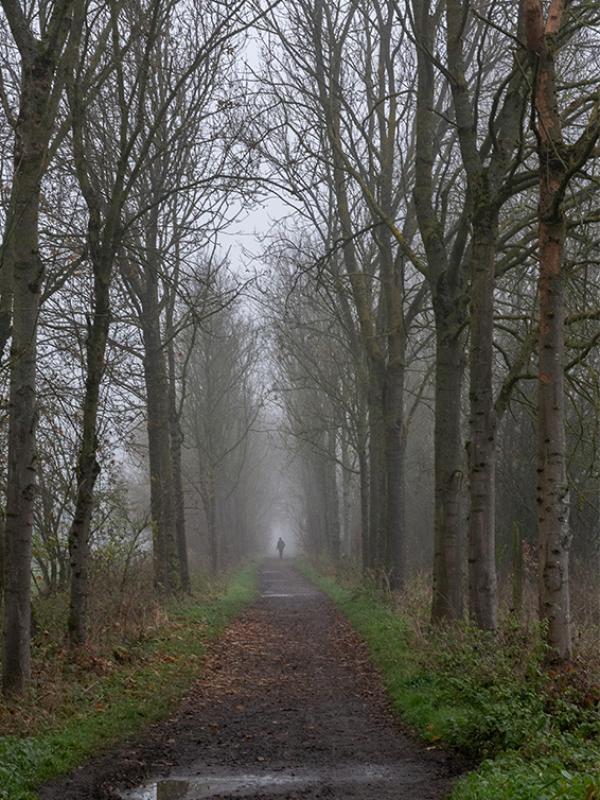 Brouillard - Marc Zommer Photographies 