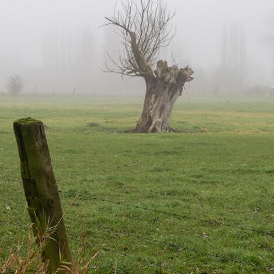 Brouillard - Marc Zommer Photographies 