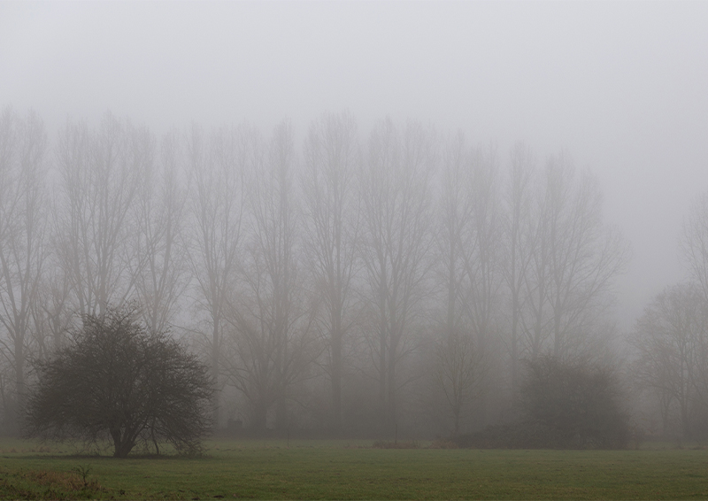 Brouillard - Marc Zommer Photographies 