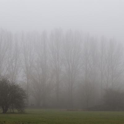 Brouillard - Marc Zommer Photographies 