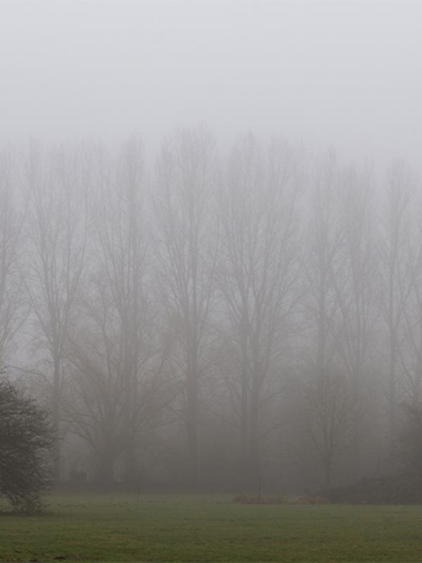 Brouillard - Marc Zommer Photographies 